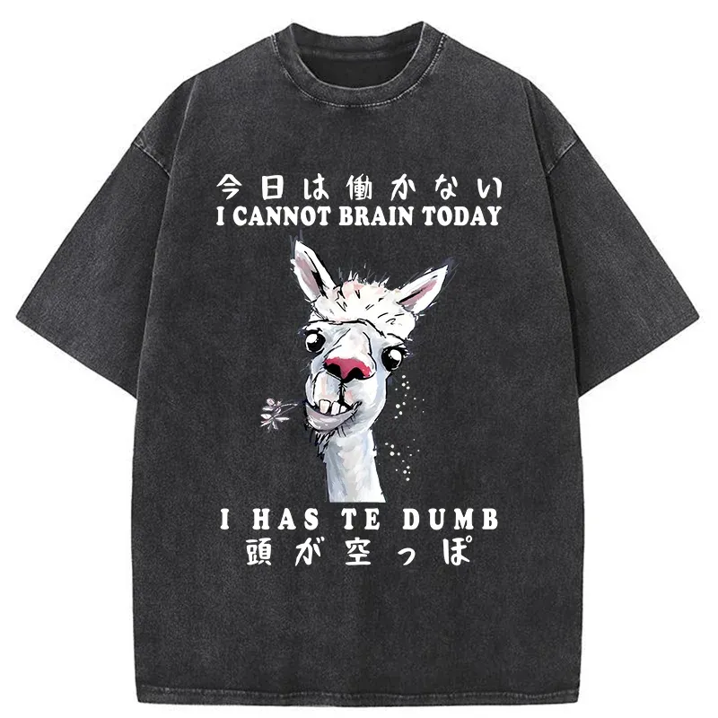 Tokyo-Tiger Empty-headed Alpaca Washed T-Shirt