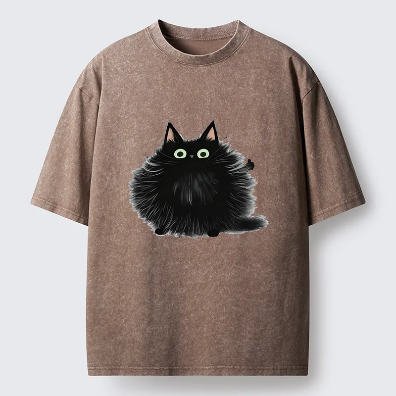 Tokyo-Tiger Cat's Approval Washed T-Shirt