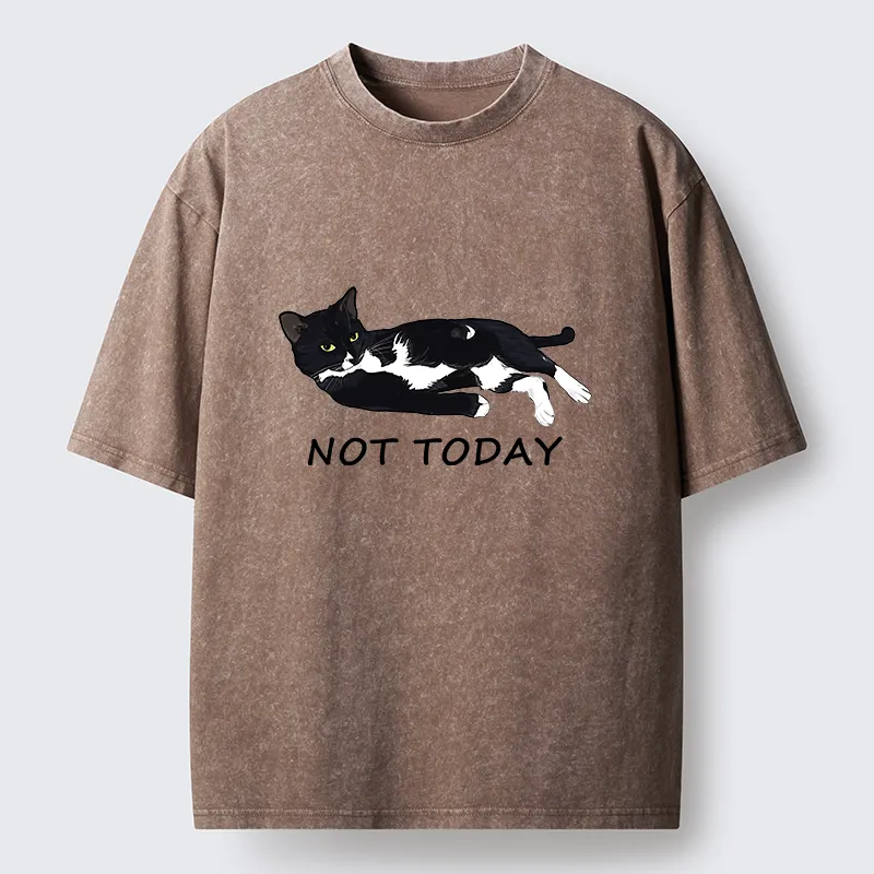 Tokyo-Tiger Cat Said Not Today Washed T-Shirt