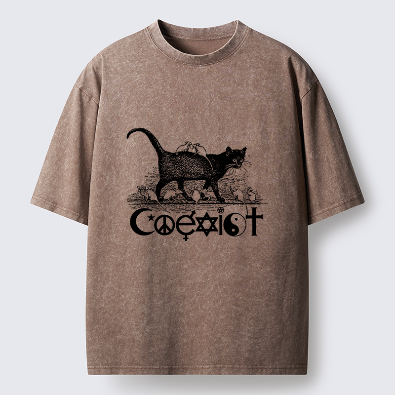 Tokyo-Tiger Coexist Funny Washed T-Shirt