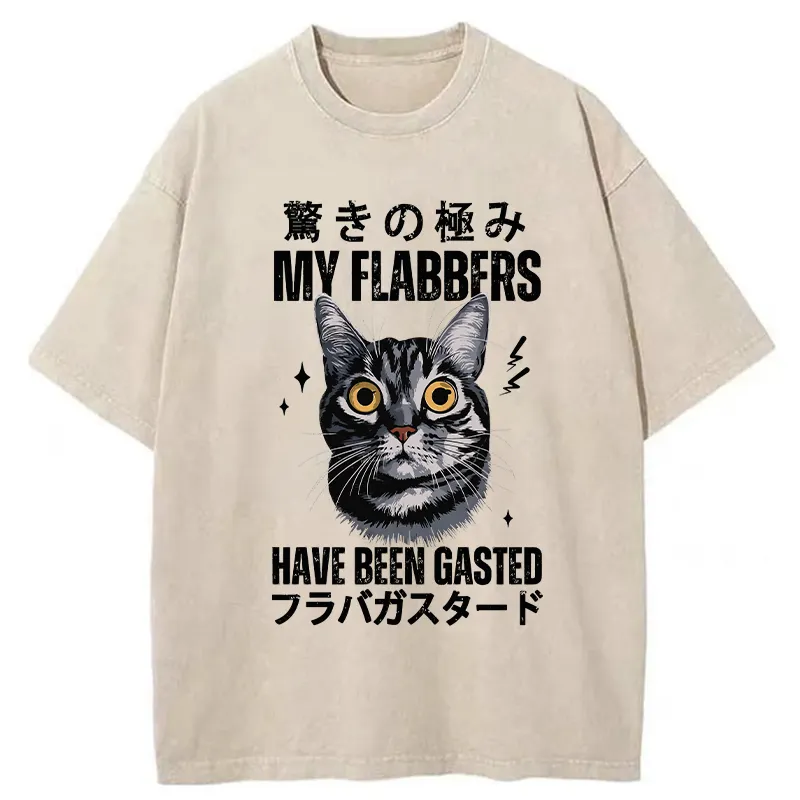 Tokyo-Tiger My Flabbers Have Been Gasted Washed T-Shirt
