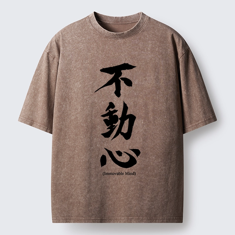 Tokyo-Tiger Fudoshin Art Of Calm Mind Washed T-Shirt