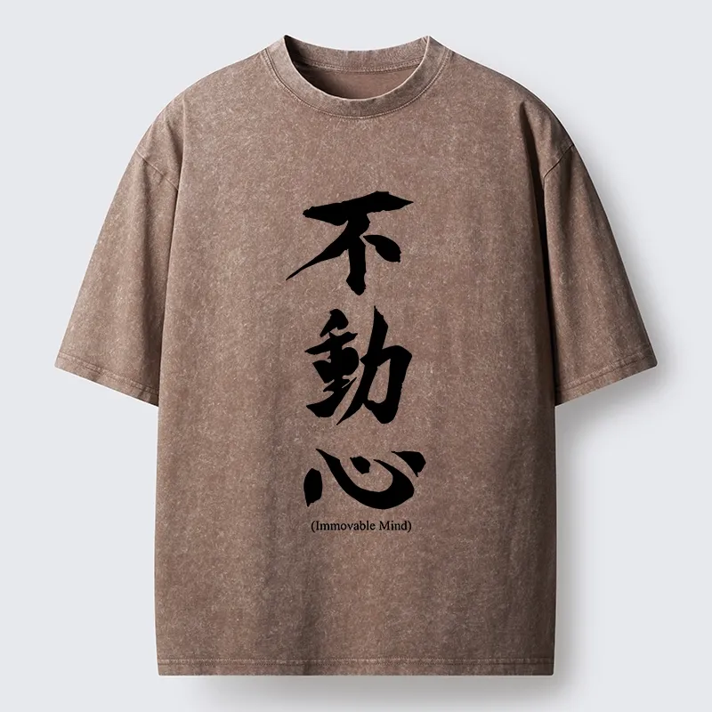 Tokyo-Tiger Fudoshin Art Of Calm Mind Washed T-Shirt