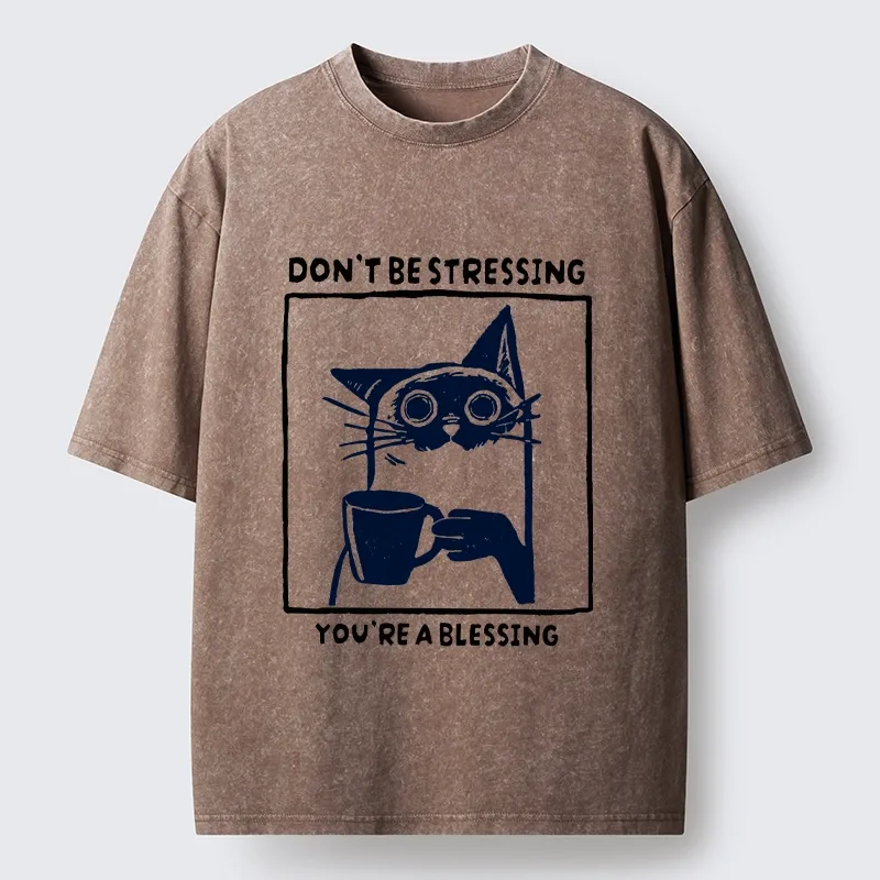 Tokyo-Tiger Coffee Cat Blessing Meme Washed T-Shirt