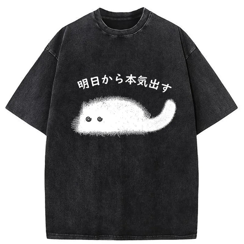 Tokyo-Tiger I'll Get Serious From Tomorrow Washed T-Shirt