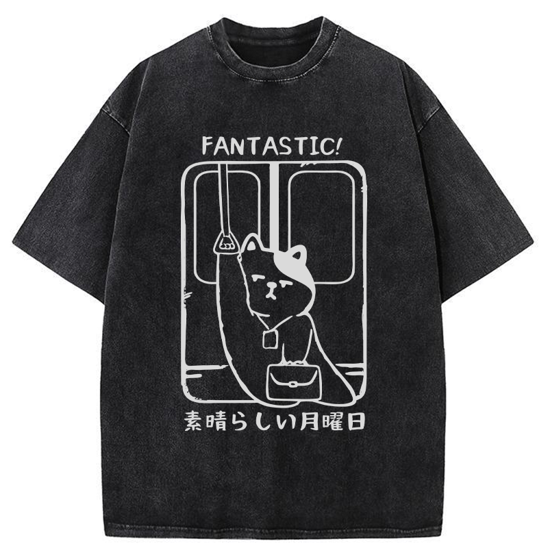 Tokyo-Tiger Great Monday Washed T-Shirt