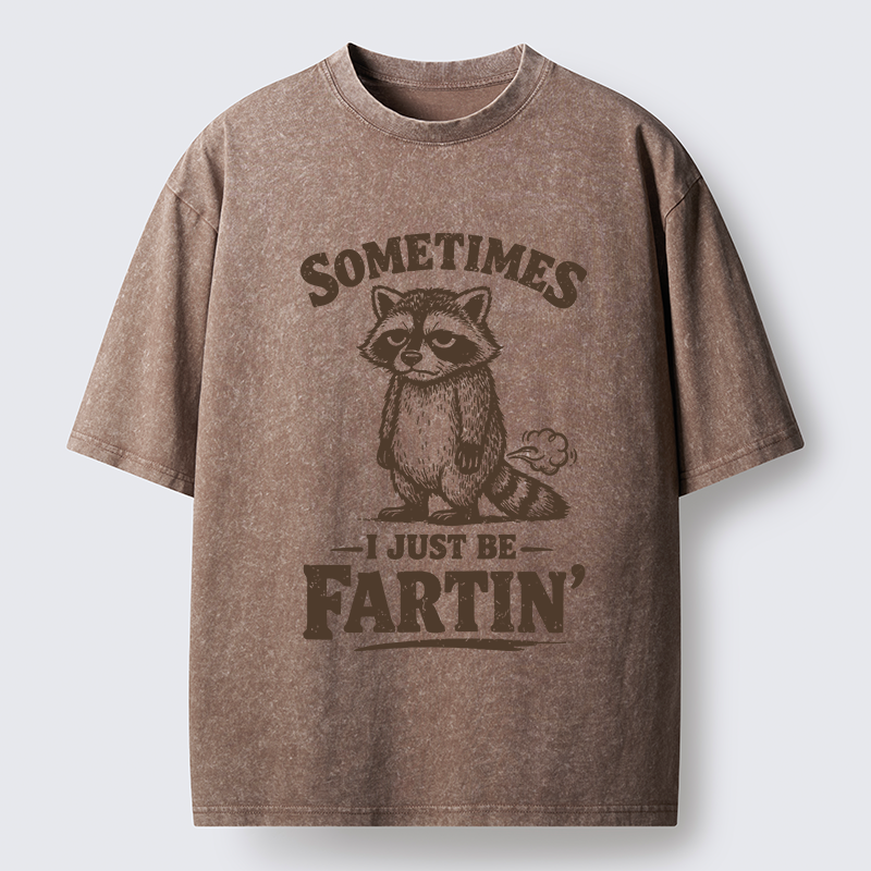 Tokyo-Tiger Farting Raccoon Washed T-Shirt