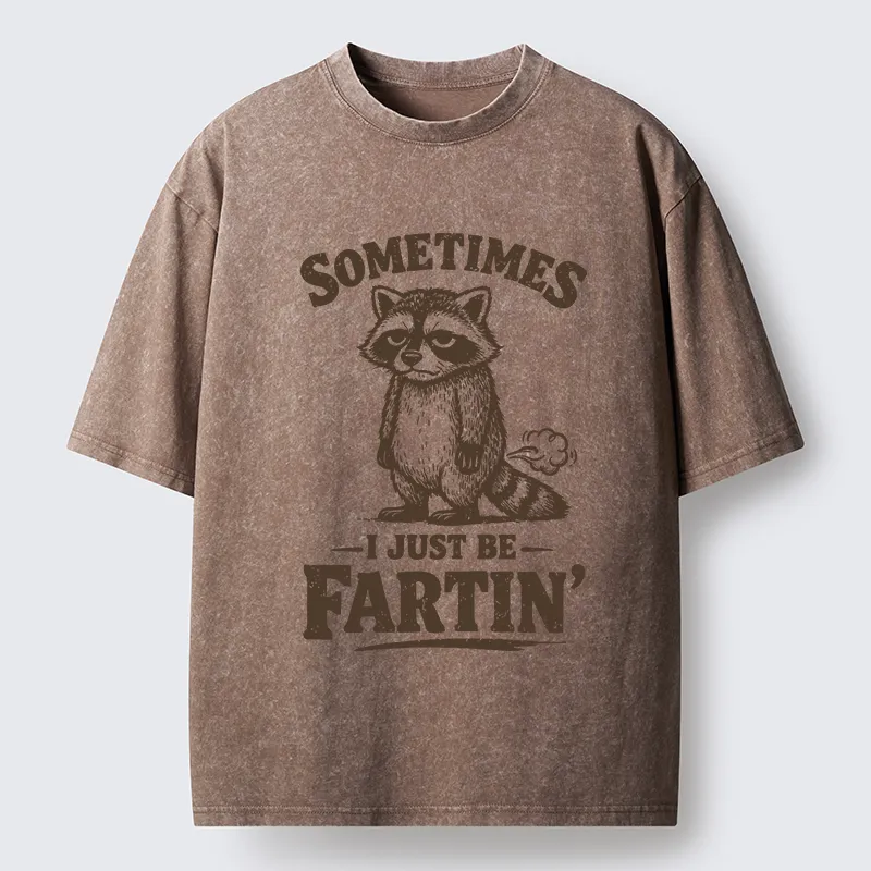 Tokyo-Tiger Farting Raccoon Washed T-Shirt