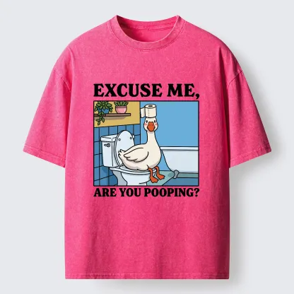 Tokyo-Tiger Are You Pooping Funny Washed T-Shirt