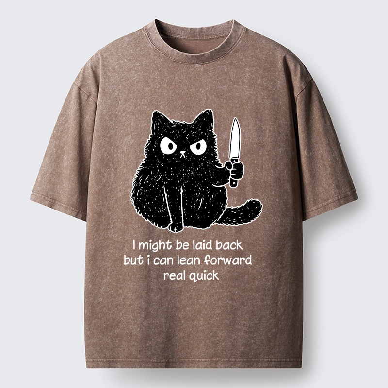 Tokyo-Tiger Dont Mess With This Cat Washed T-Shirt