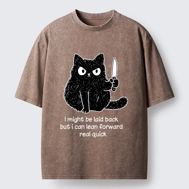 Tokyo-Tiger Dont Mess With This Cat Washed T-Shirt