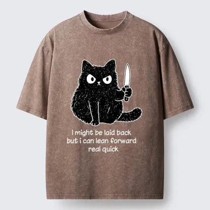 Tokyo-Tiger Dont Mess With This Cat Washed T-Shirt