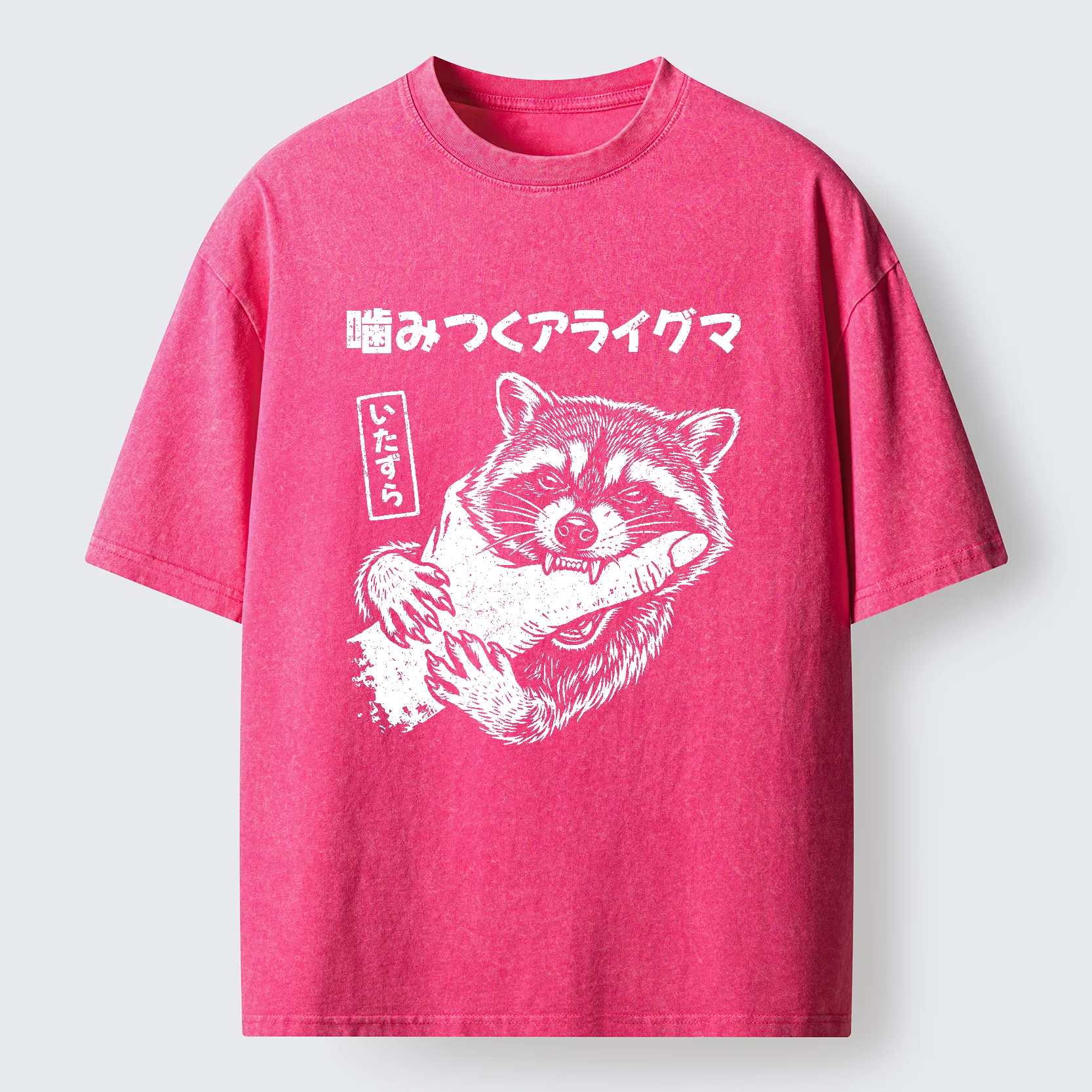 Tokyo-Tiger Naughty Raccoon Washed T-Shirt