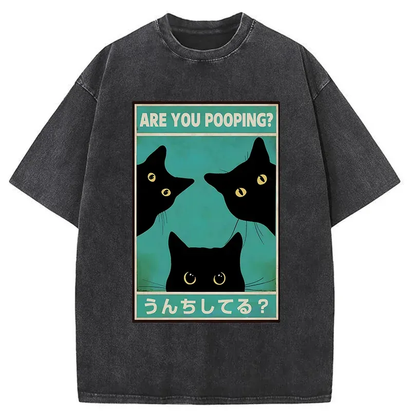 Tokyo-Tiger Kung Fu Superstar Washed T-Shirt Sale