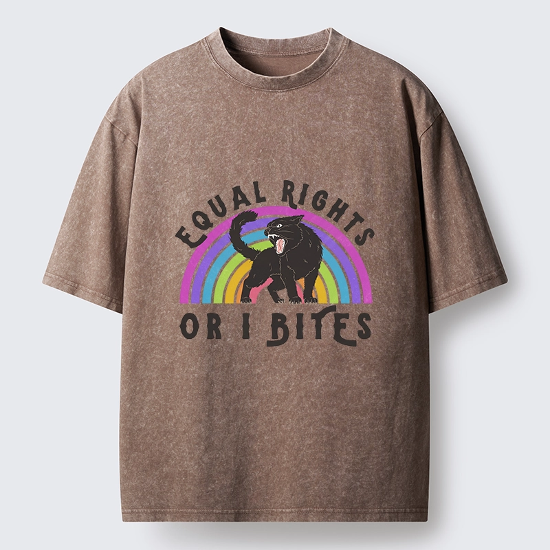 Tokyo-Tiger Rainbow Panther Equal Rights Washed T-Shirt
