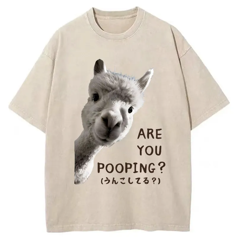 Tokyo-Tiger Are You Pooping Washed T-Shirt