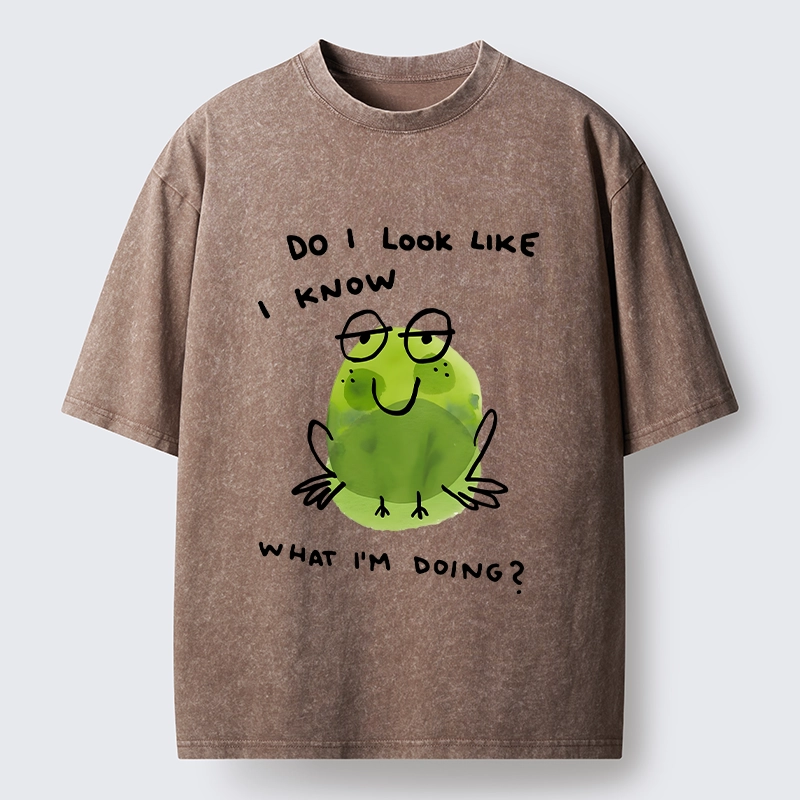 Tokyo-Tiger Little Green Frog Has No Idea What’s Next Washed T-Shirt