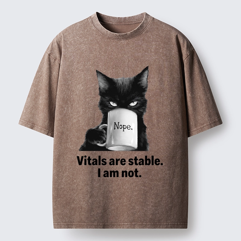 Tokyo-Tiger Grumpy Black Cat Coffee Meme Washed T-Shirt