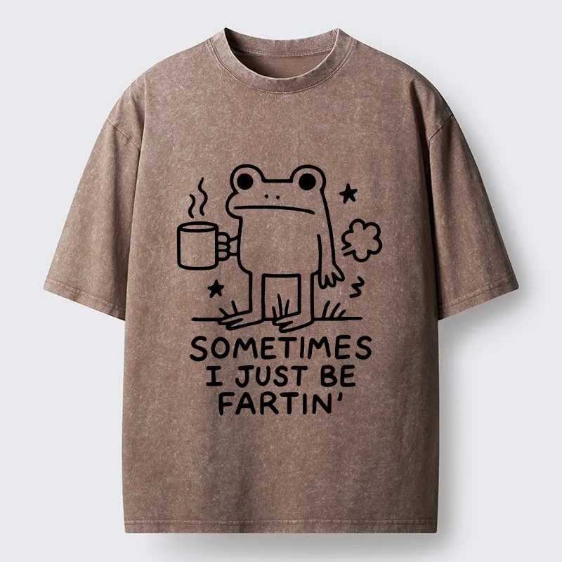 Tokyo-Tiger Sometimes A Frog Just Needs To Fart Washed T-Shirt
