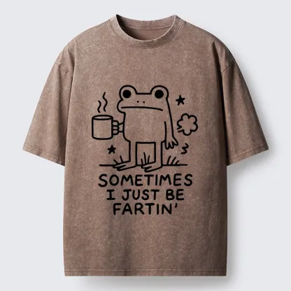 Tokyo-Tiger Sometimes A Frog Just Needs To Fart Washed T-Shirt