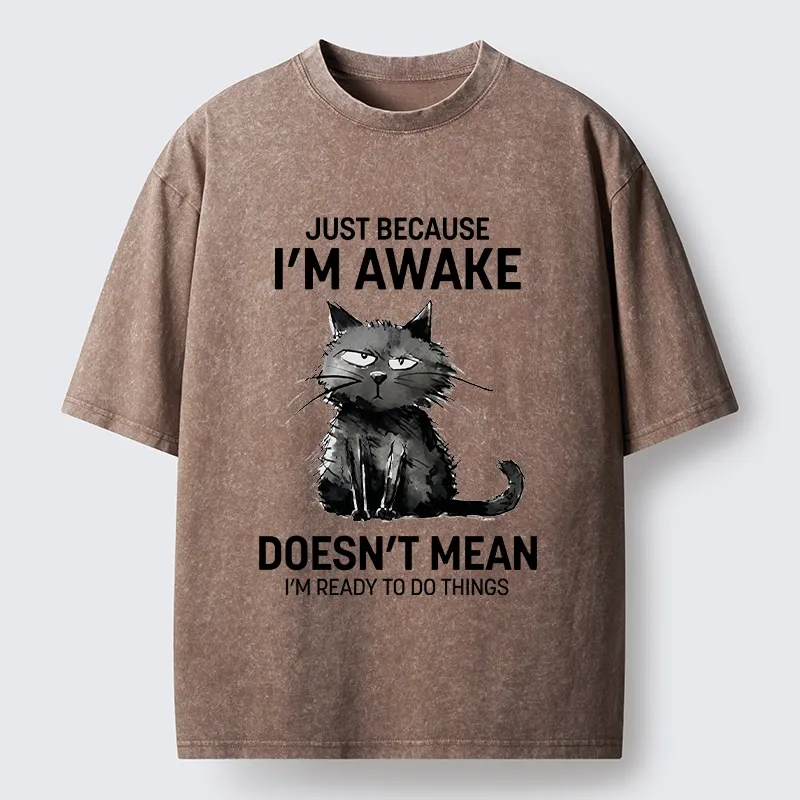 Tokyo-Tiger Grumpy Cat Not Ready To Do Things Washed T-Shirt