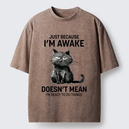 Tokyo-Tiger Grumpy Cat Not Ready To Do Things Washed T-Shirt