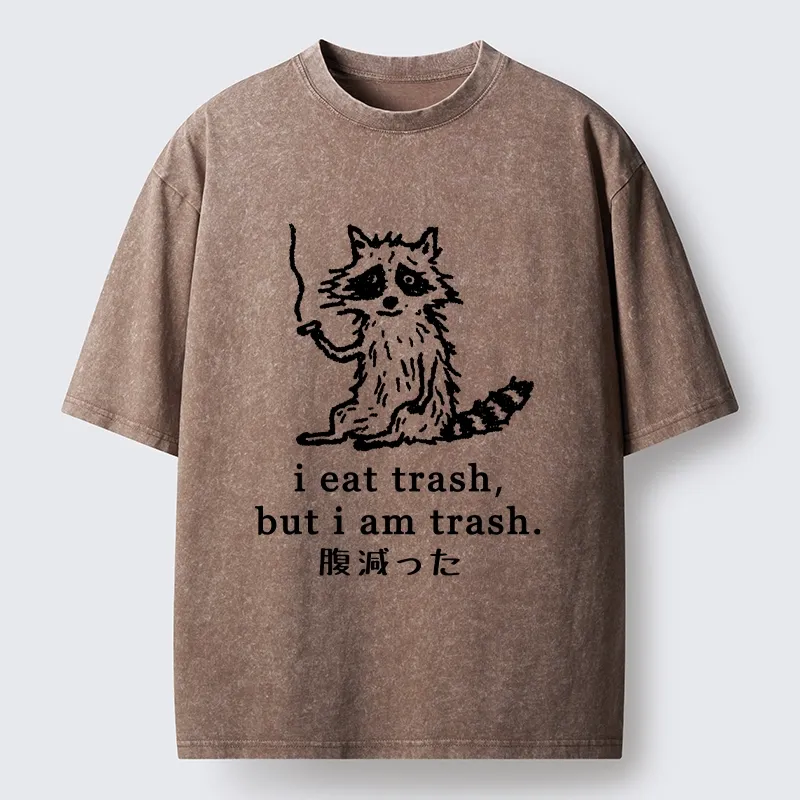 Tokyo-Tiger Raccoon’s Trashy Lifestyle Washed T-Shirt