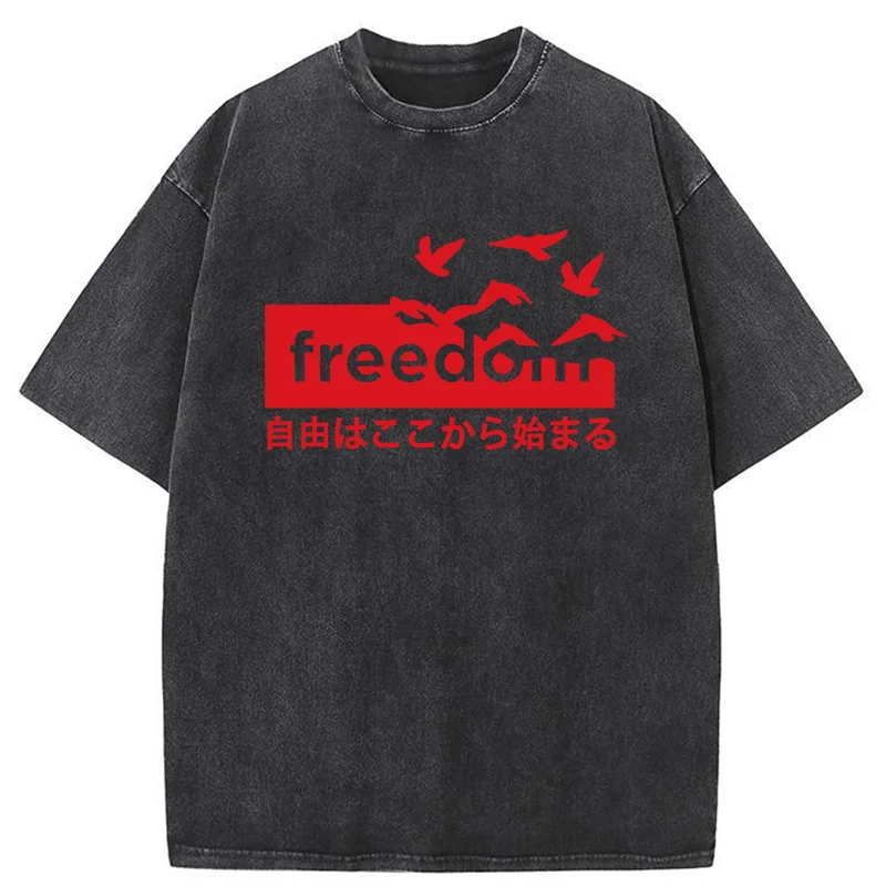 Tokyo-Tiger Freedom Japanese Washed T-Shirt