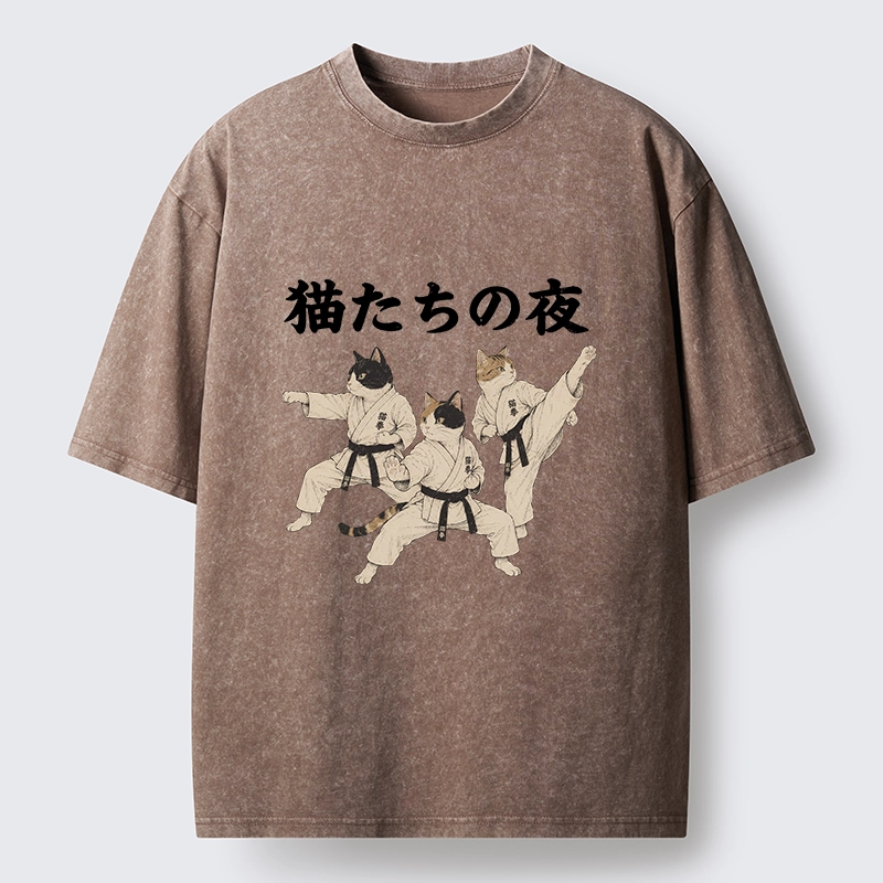 Tokyo-Tiger Funny Karate Cats Black Belt Meme Washed T-Shirt