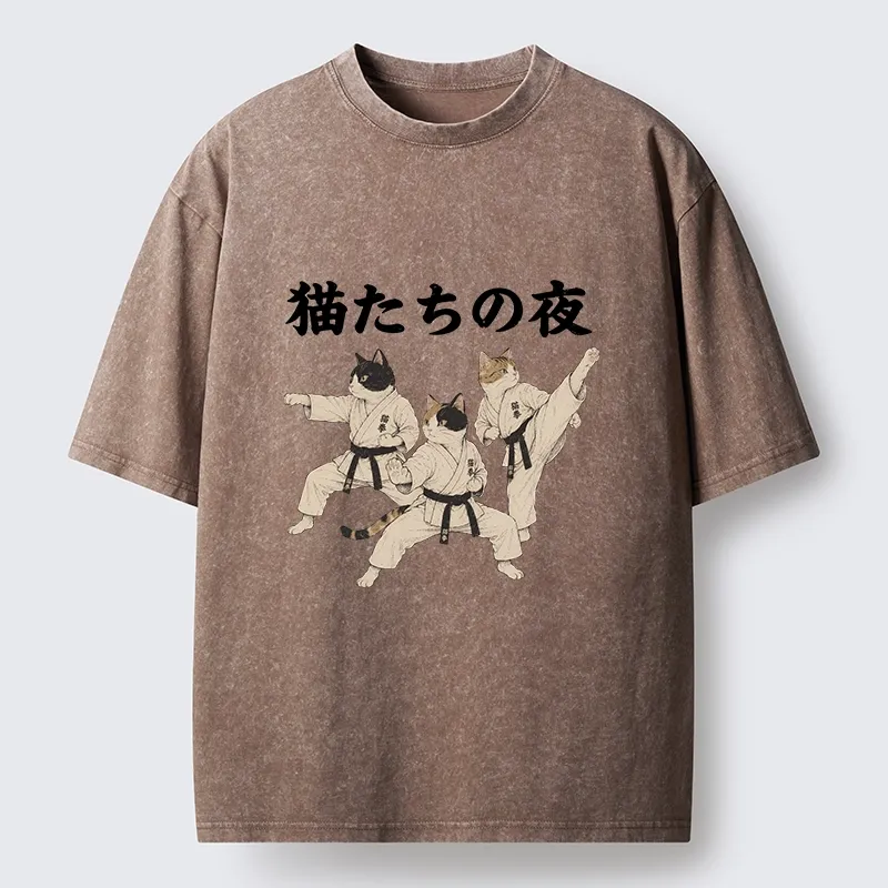 Tokyo-Tiger Funny Karate Cats Black Belt Meme Washed T-Shirt