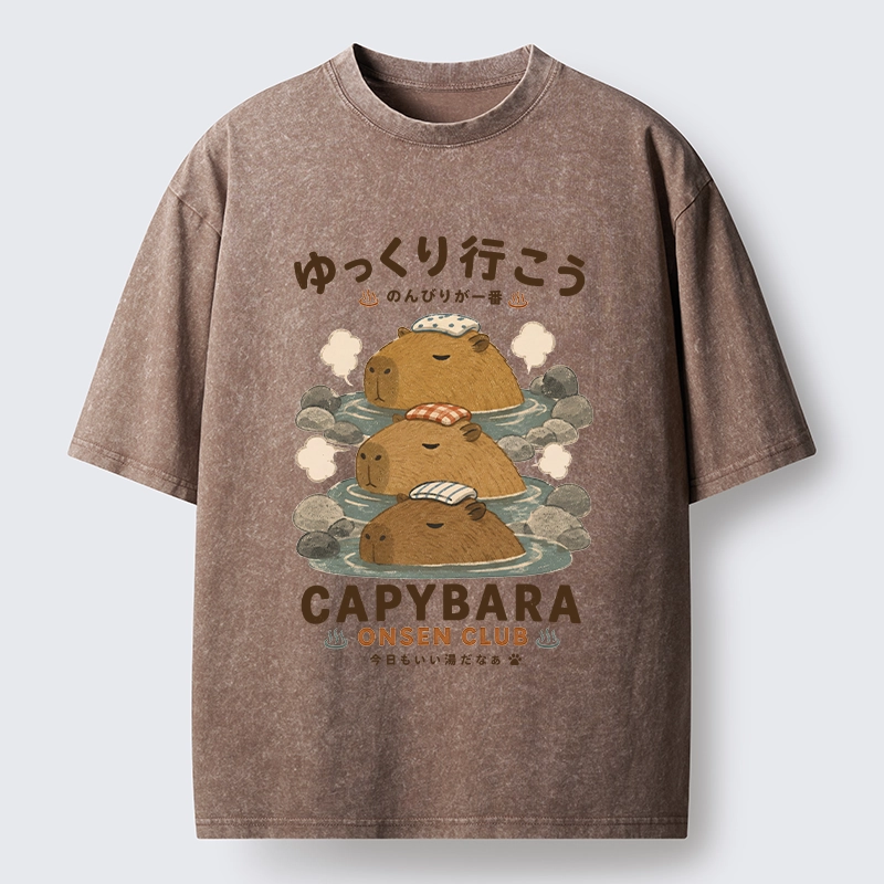 Tokyo-Tiger Hot Spring Life Slow Vibes Only Washed T-Shirt