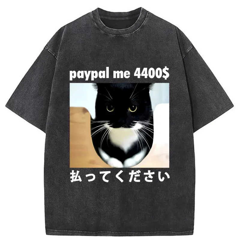 Tokyo-Tiger Please Give The Cat Money Washed T-Shirt