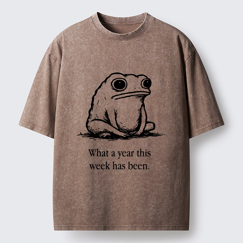 Tokyo-Tiger This Week Feels Like A Whole Year Washed T-Shirt