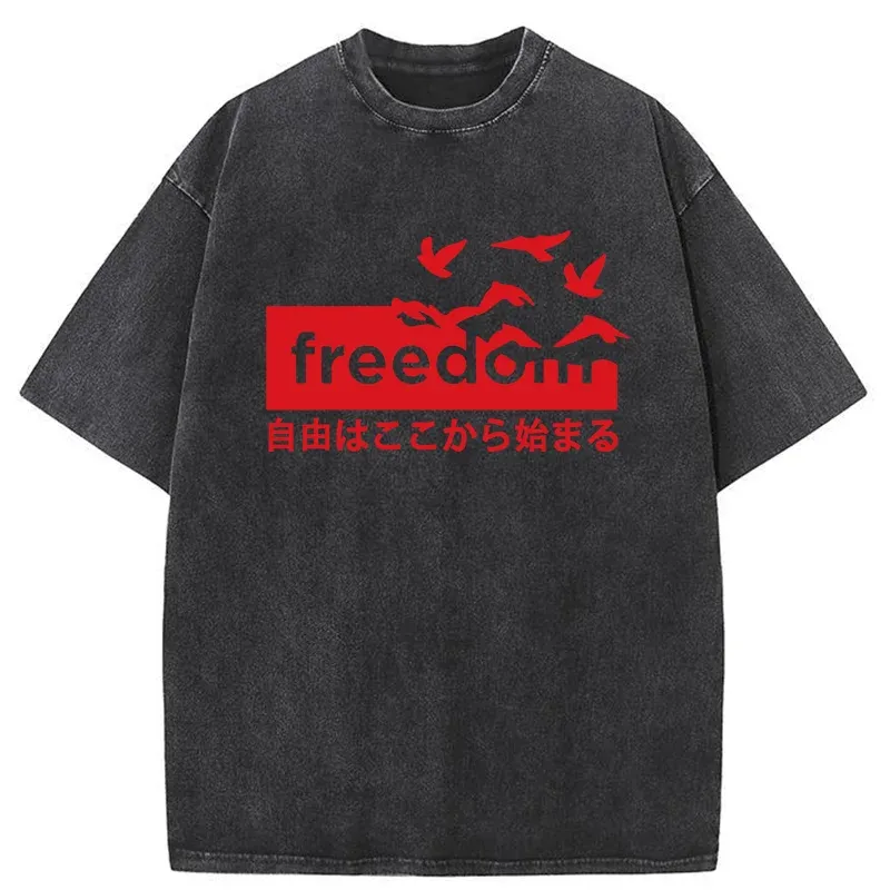 Tokyo-Tiger Freedom Japanese Washed T-Shirt