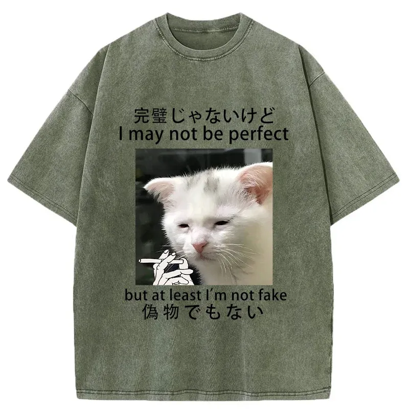 Tokyo-Tiger Cat Lamenting Life Washed T-Shirt