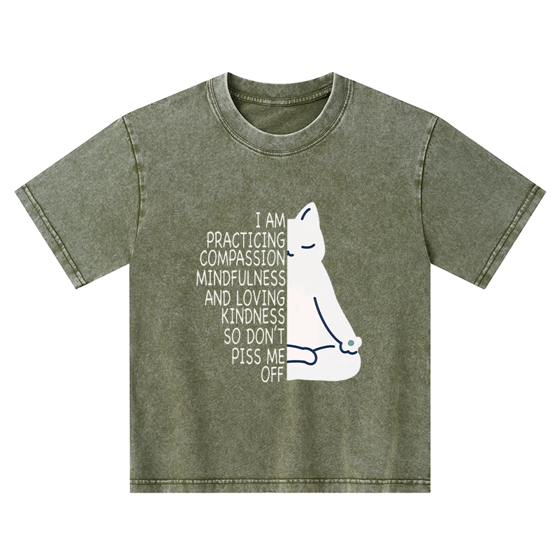 Tokyo-Tiger Calm Black Cat With Anger Issues Kids Washed T-Shirt