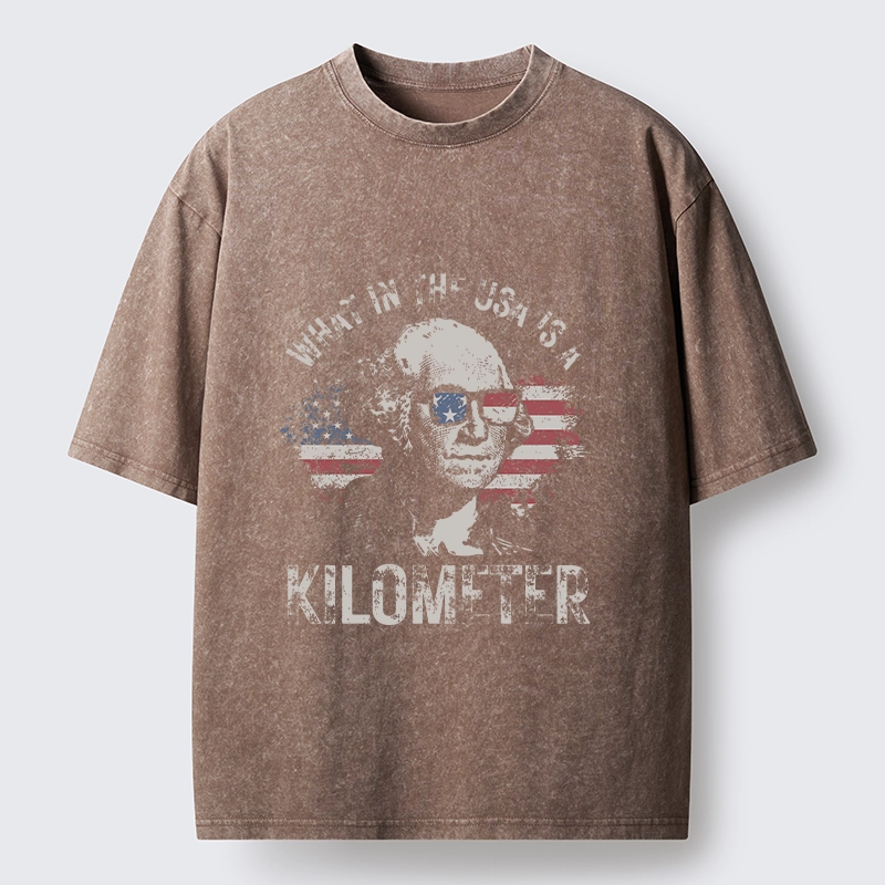 Tokyo-Tiger Patriotic Flag Lens Washington Humor Design Washed T-Shirt