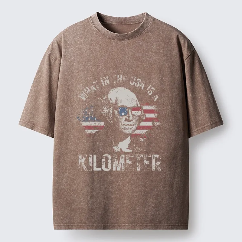 Tokyo-Tiger Patriotic Flag Lens Washington Humor Design Washed T-Shirt