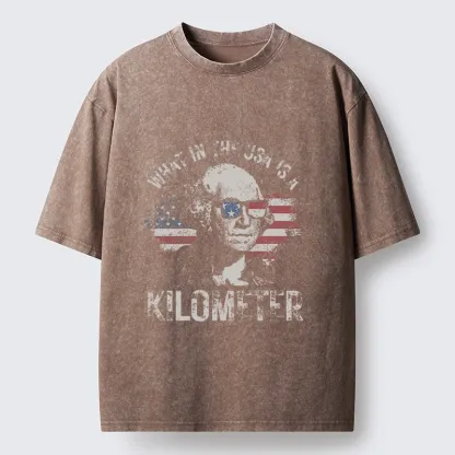 Tokyo-Tiger Patriotic Flag Lens Washington Humor Design Washed T-Shirt