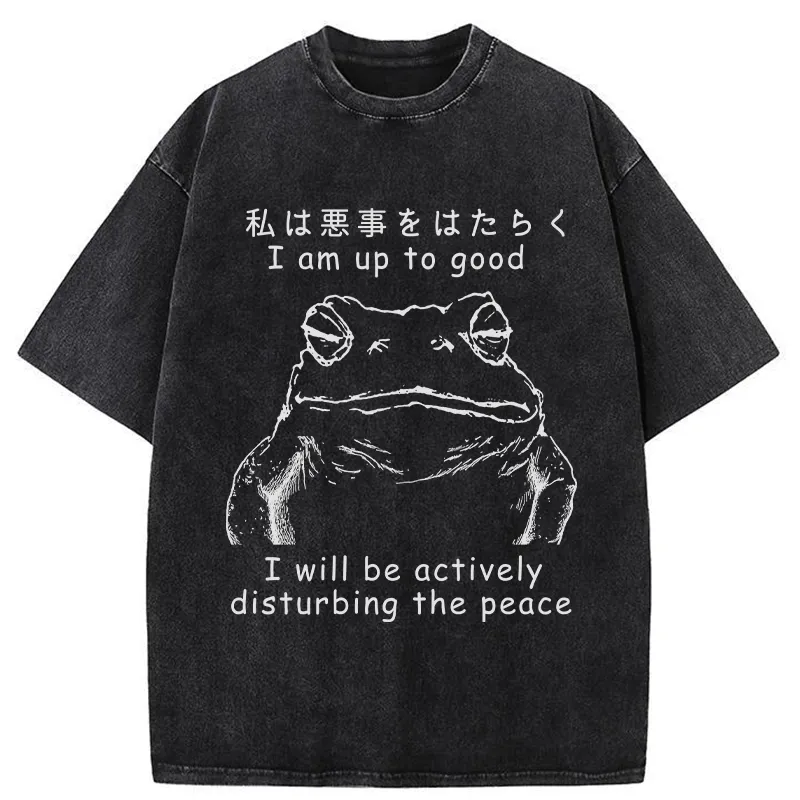 Tokyo-Tiger Frog Disturbs The Peace Washed T-Shirt