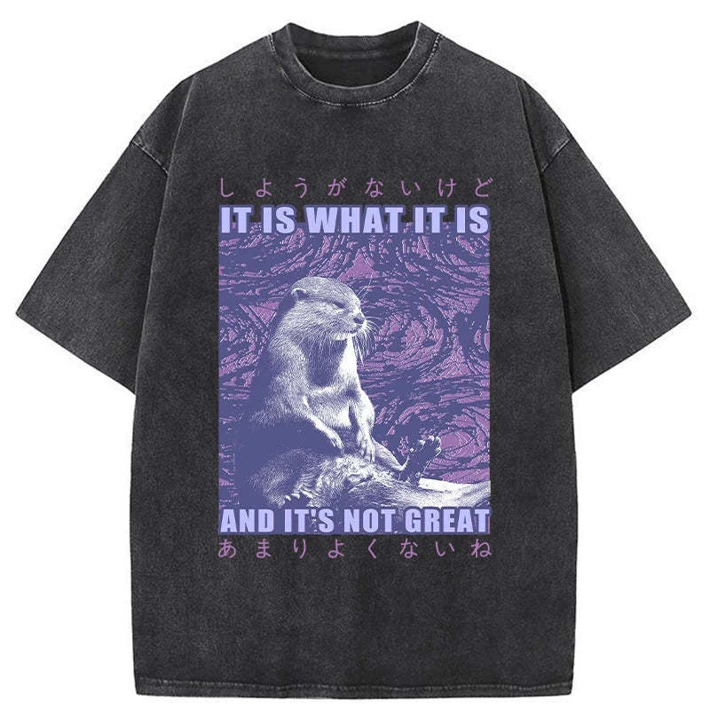 Tokyo-Tiger Frustrated Otter Japanese Washed T-Shirt