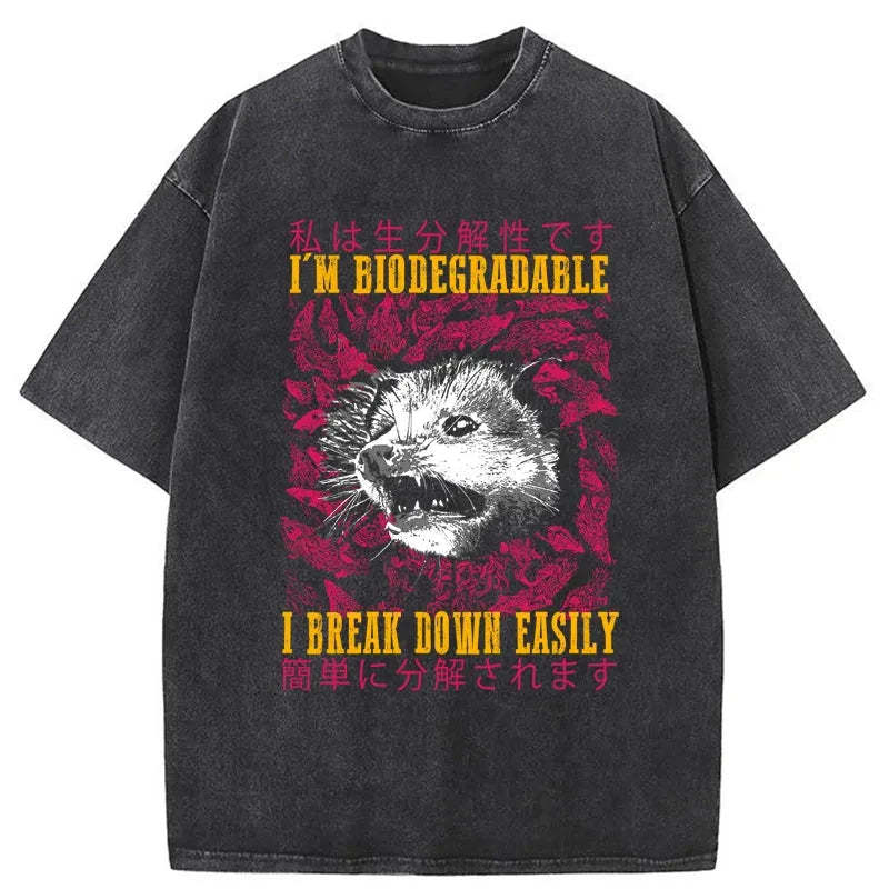 Tokyo-Tiger An Easily Breakable Opossum Washed T-Shirt Sale