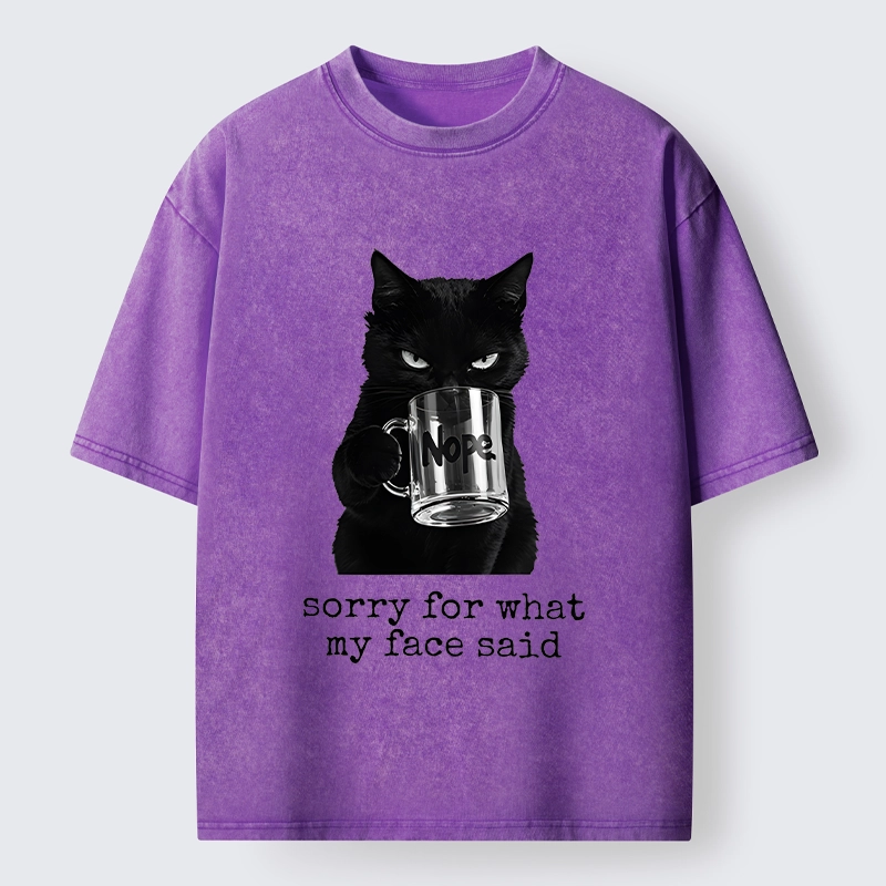 Tokyo‑Tiger Funny Sassy Cat Washed T‑Shirt