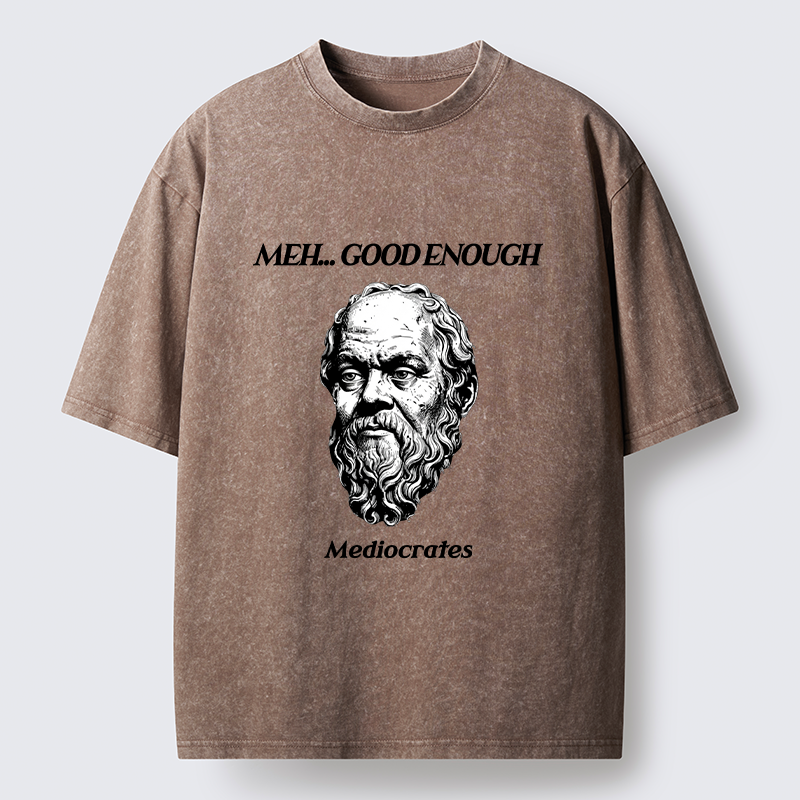 Tokyo-Tiger Meh Philosophy Meme Washed T-Shirt