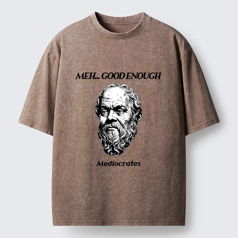 Tokyo-Tiger Meh Philosophy Meme Washed T-Shirt