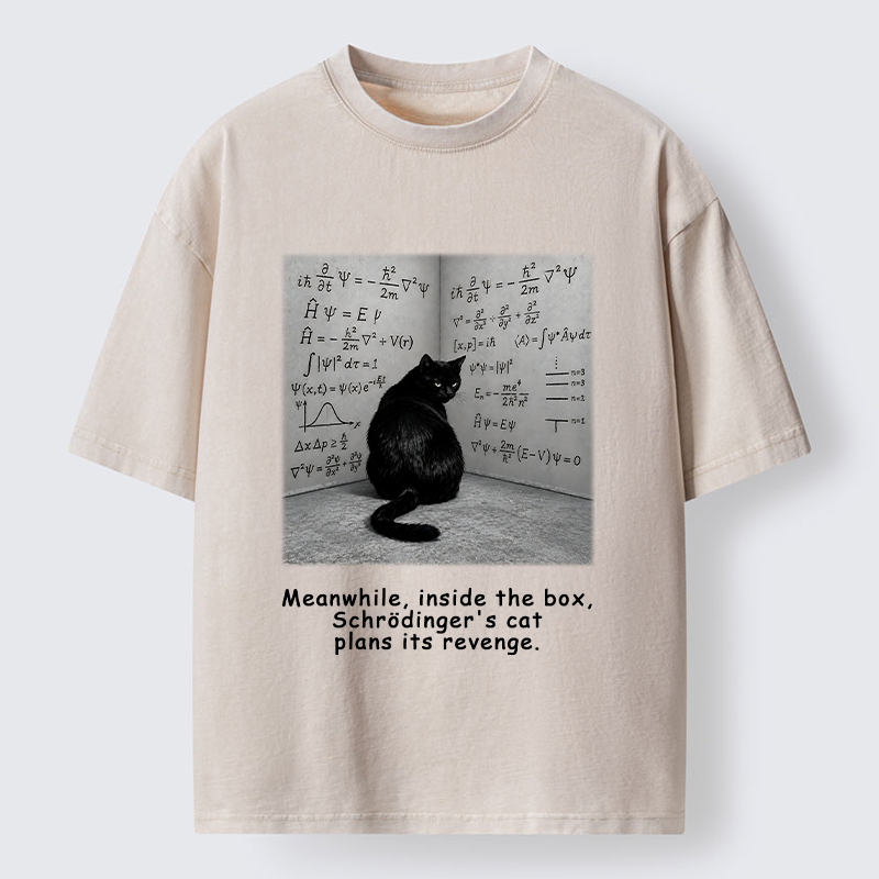 Tokyo‑Tiger Box Black Cat Science Meme Washed T‑Shirt Sale