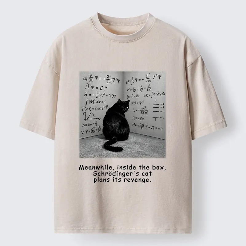 Tokyo-Tiger Box Black Cat Science Meme Washed T-Shirt