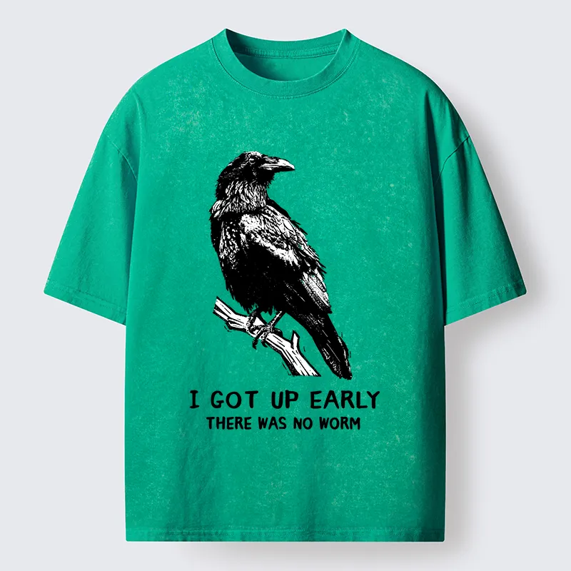 Tokyo-Tiger Early Raven Meme Washed T-Shirt