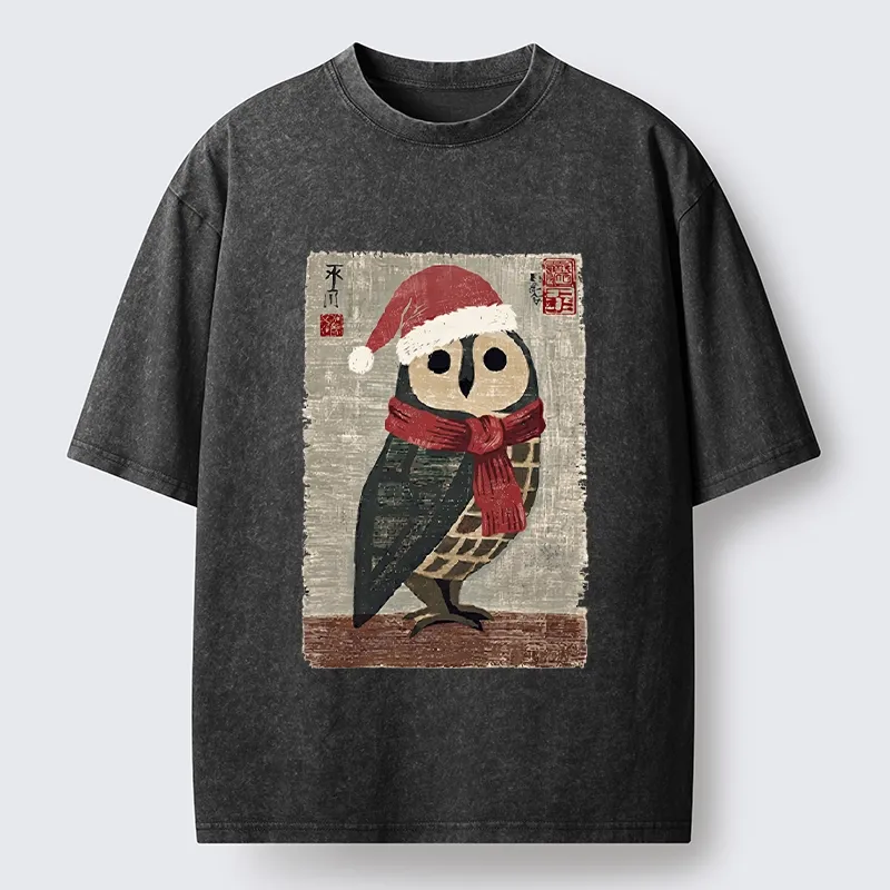 Tokyo-Tiger Christmas Owl Santa Hat Washed T-Shirt