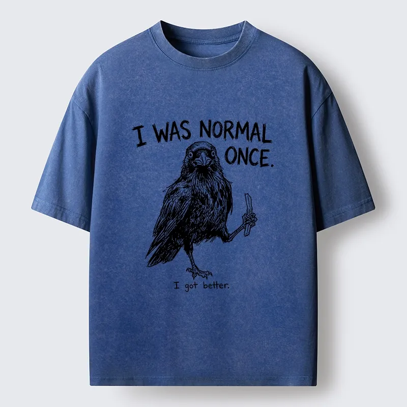 Tokyo‑Tiger Funny Crow Meme Washed T‑Shirt